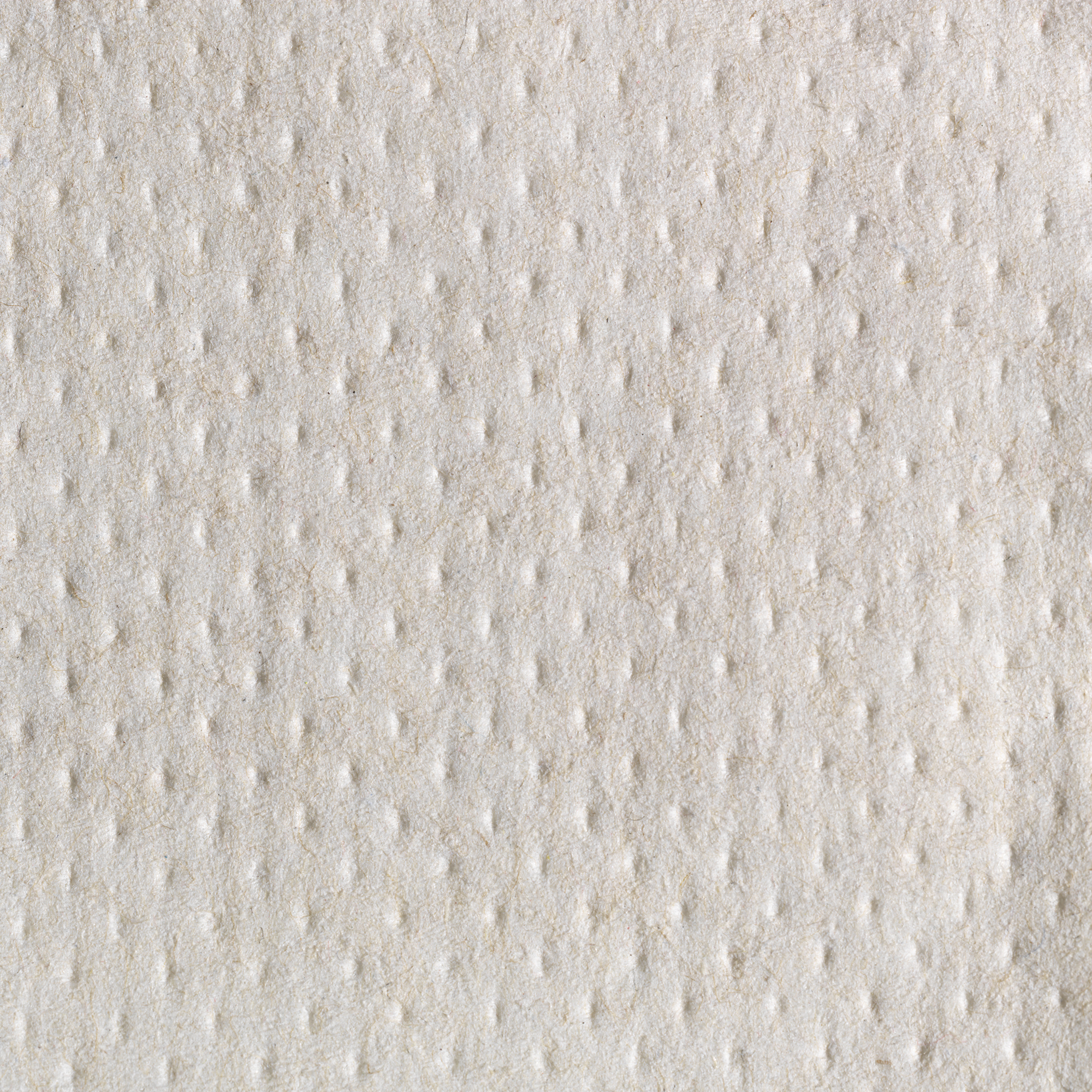 Hostess™ Natura™ Papier Toilette - Jumbo Rouleau